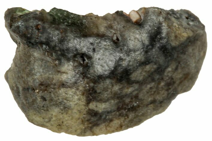 Polished Lunar Meteorite ( g) Fragment - NWA #313178